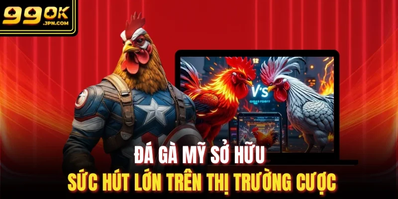 Đá gà mỹ sở hữu sức hút lớn trên thị trường cược 