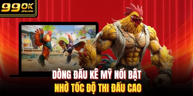 Dòng đấu kê mỹ nổi bật nhờ tốc độ thi đấu cao